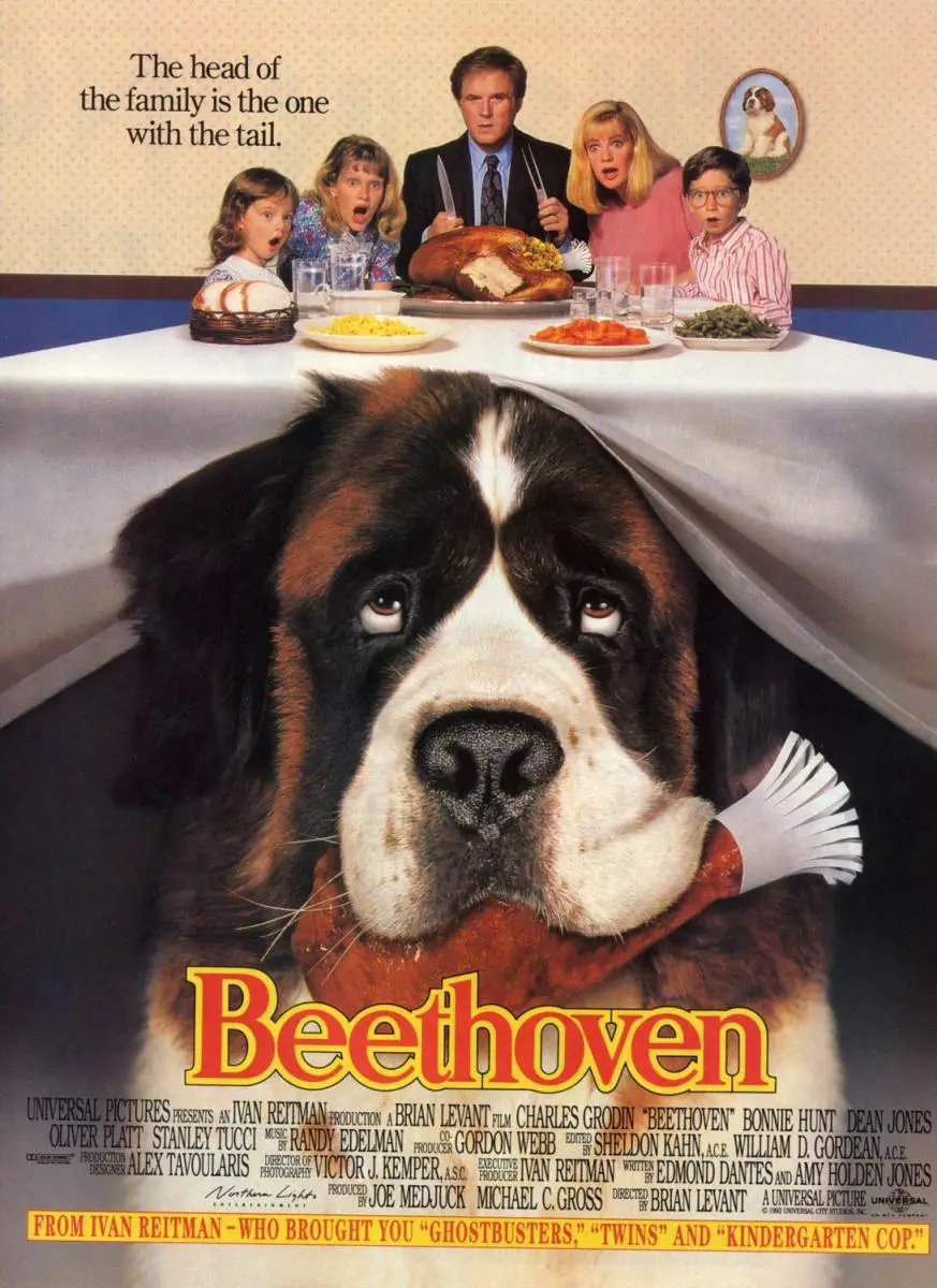 All About The Beethoven Puppy: Exploring The Hilarious Adventures ...